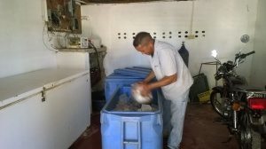 Los productores de Cpoyito dicen viven perdiendo sus productos por el mal estado de la carretera.