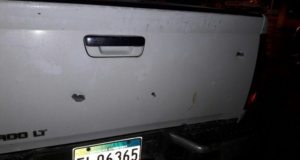 A prisión acusado agredir personal de Medio Ambiente en Nagua