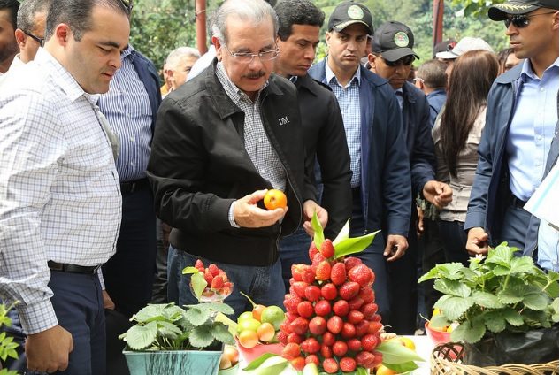 Presidente Medina ofrece respaldo a productores de fresas en Jarabacoa