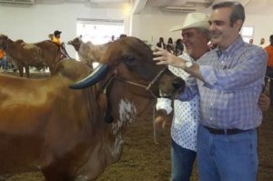 Abinader: productores de leche y carne necesitan apoyo para exportar