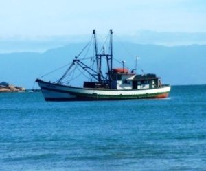 Liberan 59 pescadores dominicanos retenidos Jamaica; pagan 93 mil dólares