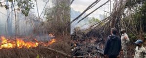 Extinguen incendio forestal afectó varias tareas manglares en Estero Hondo de Puerto Plata