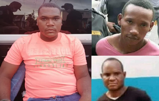 Ratas! Apresan responsables de rociar 