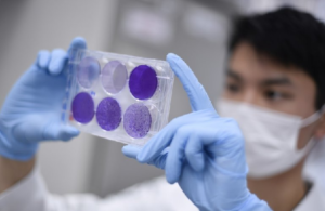 Reportan 320 casos nuevos de coronavirus y otras cuatro defunciones en República Dominicana