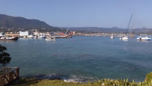 Autoridades de Medio Ambiente suspenden dragado en bahía de Puerto Plata donde se construye terminal Taíno Bay
