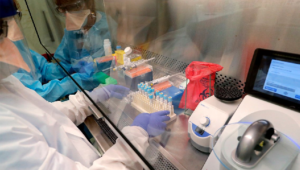 SP reporta 134 nuevos contagios de Covid-19 y muertes, aunque solo procesó 1,893 pruebas PCR  en 24 horas