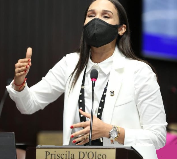 Diputada Priscila D´Oleo presenta activa agenda legislativa en sus primeros 100 días en el Congreso