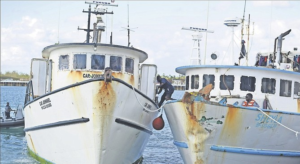 Bahamas libera 65 pescadores dominicanos cumplieron condena por pescar de forma ilegal en sus aguas territoriales