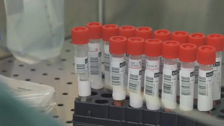 Este viernes llegan a RD 30 mil vacunas más contra el coronavirus donadas por gobierno de La India