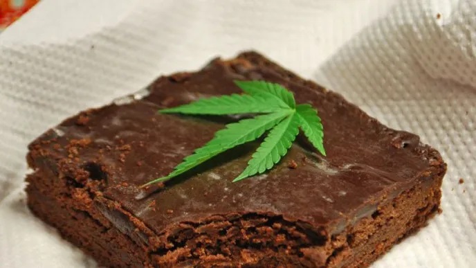Contenían marihuana los brownies enviados a campamento de feministas que intoxicaron 13 personas