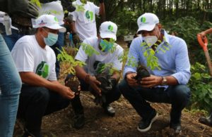 Senaduría de Espaillat junto a otras instituciones realiza jornada de reforestación y limpieza en Anillo Verde