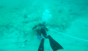 Estudio revela pesca de buceo con compresores ocasiona parálisis y accidentes cerebrovasculares en pescadores