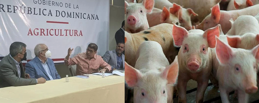 Sacrificarán 20 mil cerdos y refrigerarán su carne; Agricultura dice pollo se vende 72 pesos la libra