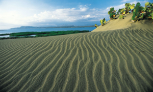 Las Dunas de Baní, un desierto en el Caribe