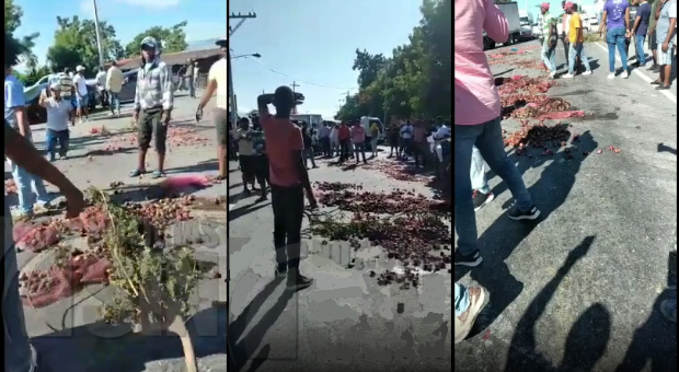 Le pica la cebolla a productores de Azua! Lanzan el vegetal a las calles en protesta por pérdidas a causa de la importación