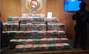 Ocupan 978 paquetes de cocaína en contedor cargado de madera en Puerto Caucedo
