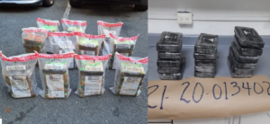 Autoridades ocupan 83 paquetes de cocaína en una finca de Las Galeras en Samaná