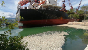 Fiscalía investiga muerte de miles de peces en muelle de Barahona; retienen barco trajó carbón para Ege Haina