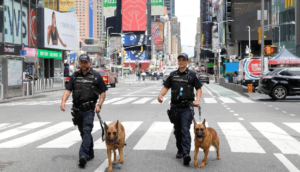 Declaran a Nueva York en estado de emergencia ante la variante ómicron