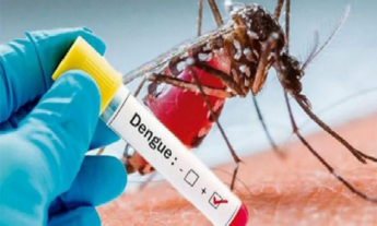 Salud Pública confirma 13 fallecimientos por dengue y 14 mil casos registrados; hay 315 personas ingresadas