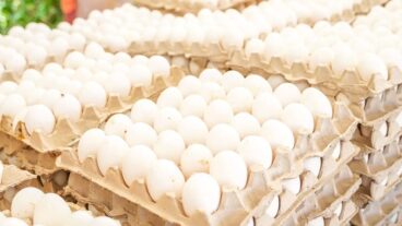 Gobierno dispone venta cartón de huevos a 100 pesos en 76 cadenas de supermercados
