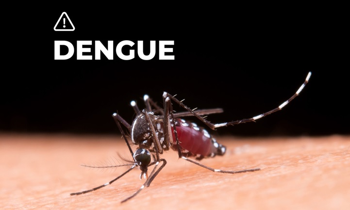 CDC informa de 142 viajeros con dengue en NY