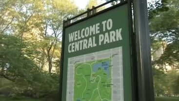 Central Park-NY podría no ser visitado con asiduidad por consumo desenfrenado de drogas; dominicanos acuden al mismo