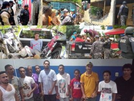 Veganos en NY apoyan accionar PN contra la delincuencia y puntos de drogas en La Vega