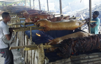 ProConsumidor tras un rabito del lechón! Inicia visitas a lechoneras para asegurar calidad en Navidad