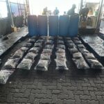 Confiscan 73 paquetes de marihuana en puerto de Haina y apresan implicado en Puerto Plata