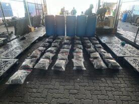 Confiscan 73 paquetes de marihuana en puerto de Haina y apresan implicado en Puerto Plata