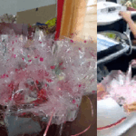Regidor Rubén Santos entregará regalos a las madres de RSJ en ocasión de celebrarse su día este domingo