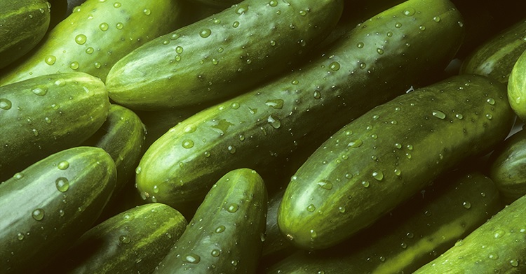 En varios estados USA retiran pepinos por brote Salmonera; Nueva York entre ellos