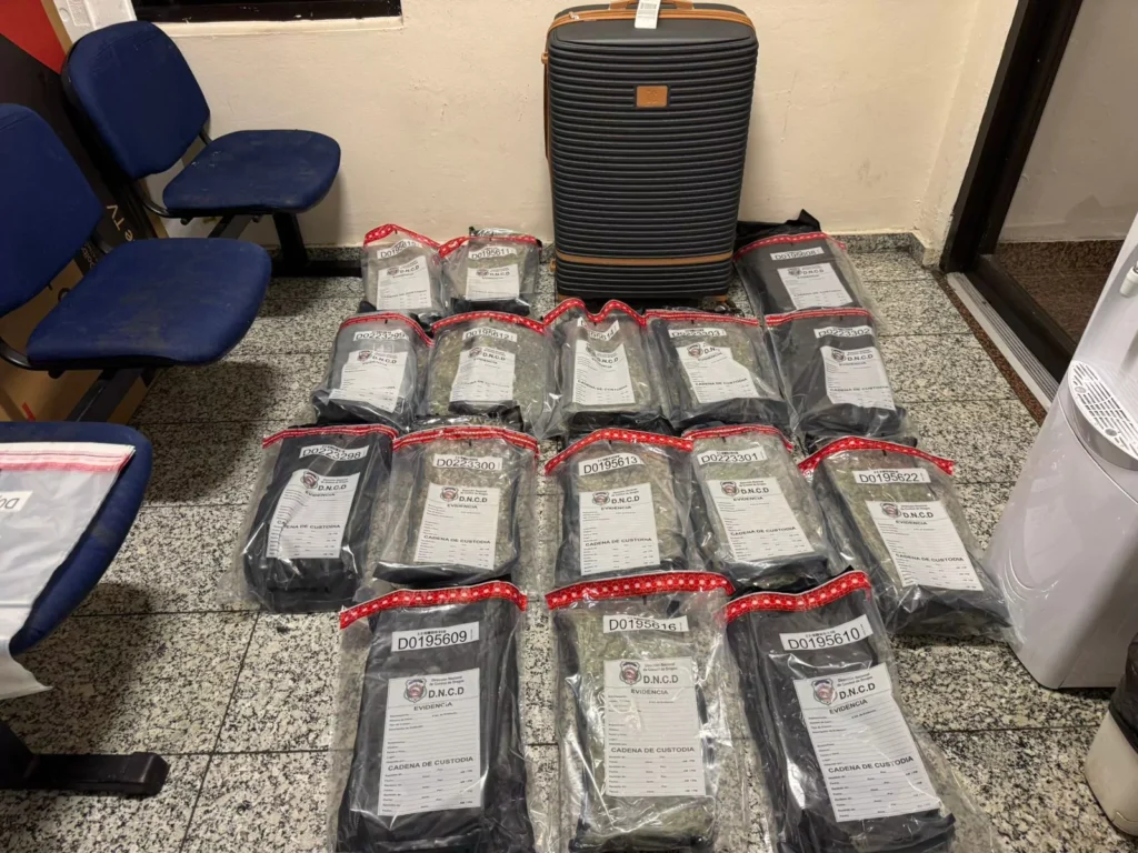 Ocupan en AILA 60 paquetes de marihuana a estadounidense de 22 años arribó al país desde Boston