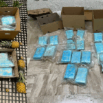 Piña con coco no, con coca! Incautan en aeropuerto Punta Cana 33 kilos de cocaína en cajas de piña iban a Alemania