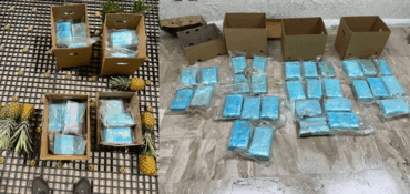 Piña con coco no, con coca! Incautan en aeropuerto Punta Cana 33 kilos de cocaína en cajas de piña iban a Alemania