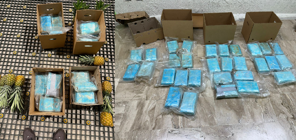 Piña con coco no, con coca! Incautan en aeropuerto Punta Cana 33 kilos de cocaína en cajas de piña iban a Alemania