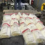 El olor los delato! DNCD confisca en aeropuerto Cibao cocaína camuflada en cajas de pescado