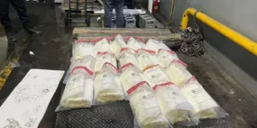 El olor los delato! DNCD confisca en aeropuerto Cibao cocaína camuflada en cajas de pescado
