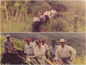 Río San Juan y su historia: La transformación de nuestros campos 