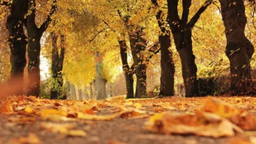 Se fue el verano! Este lunes recibimos el otoño con temperaturas más frescas y noches más largas