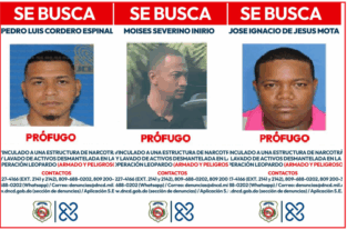 Identificados! Emiten alerta de búsqueda y captura contra 3 hombres vinculados a Operación Leopardo