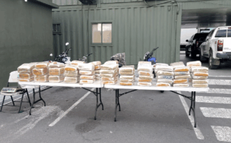 La DNCD incauta 572 libras de marihuana ocultas en parte trasera de camion en Baní