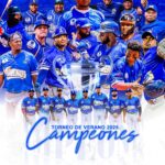 Liga de verano aprueba expansión para el 2026