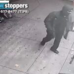 Afroamericano entra a bodega en El Bronx, dispara y hiere dos personas; se presume víctimas son dominicanas