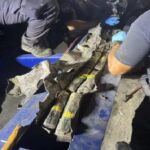 Interceptan en Puerto Rico un buque de carga prodecente de RD con 530 kilos de cocaína camuflados en un chasis