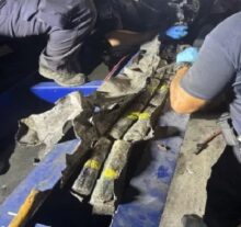 Interceptan en Puerto Rico un buque de carga prodecente de RD con 530 kilos de cocaína camuflados en un chasis