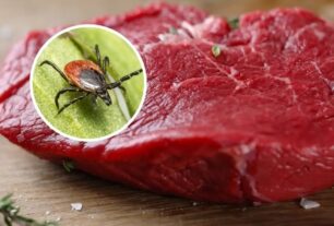 Pistolero dispara a hombre en El Bronx por no detenerse a responder su pregunta; víctima presuntamente es dominicano