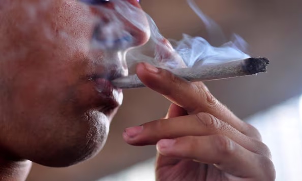 Informe revela más jóvenes consumen marihuana en NY, figuran dominicanos