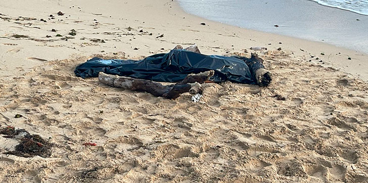 Hallan el cuerpo sin vida de una mujer en una playa de Puerto Plata